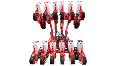 SEEDING GROUP